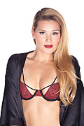 Abby Cross - Scarlet Fever - 15